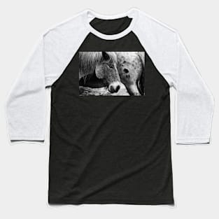 horse, black and white side view Baseball T-Shirt